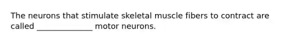 The neurons that stimulate skeletal muscle fibers to contract are called ______________ motor neurons.