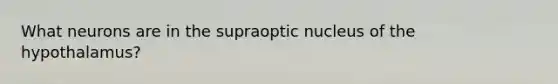 What neurons are in the supraoptic nucleus of the hypothalamus?