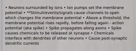 • Neurons surrounded by ions • Ion pumps set the membrane potential • **Stimuli/events/signals cause channels to open which changes the membrane potential • Above a threshold, the membrane potential rises rapidly, before falling again - action potential (aka spike) • Spike propagates along axons • Spike causes chemicals to be released at synapse • Chemicals interface with dendrites of other neurons • Cause post-synaptic dendritic currents