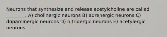 Neurons that synthesize and release acetylcholine are called ________. A) cholinergic neurons B) adrenergic neurons C) dopaminergic neurons D) nitridergic neurons E) acetylergic neurons