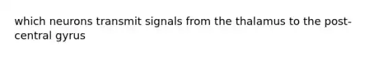 which neurons transmit signals from the thalamus to the post-central gyrus