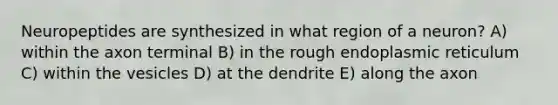 Neuropeptides are synthesized in what region of a neuron? A) within the axon terminal B) in the rough endoplasmic reticulum C) within the vesicles D) at the dendrite E) along the axon