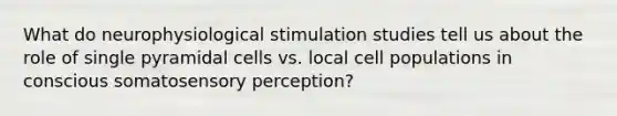 What do neurophysiological stimulation studies tell us about the role of single pyramidal cells vs. local cell populations in conscious somatosensory perception?