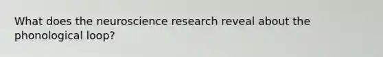 What does the neuroscience research reveal about the phonological loop?