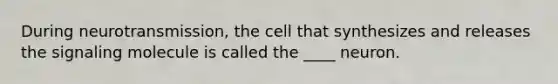 During neurotransmission, the cell that synthesizes and releases the signaling molecule is called the ____ neuron.