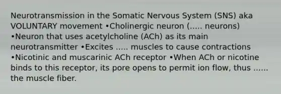 Neurotransmission in the Somatic <a href='https://www.questionai.com/knowledge/kThdVqrsqy-nervous-system' class='anchor-knowledge'>nervous system</a> (SNS) aka VOLUNTARY movement •Cholinergic neuron (..... neurons) •Neuron that uses acetylcholine (ACh) as its main neurotransmitter •Excites ..... muscles to cause contractions •Nicotinic and muscarinic ACh receptor •When ACh or nicotine binds to this receptor, its pore opens to permit ion flow, thus ...... the muscle fiber.