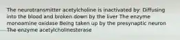 The neurotransmitter acetylcholine is inactivated by: Diffusing into the blood and broken down by the liver The enzyme monoamine oxidase Being taken up by the presynaptic neuron The enzyme acetylcholinesterase