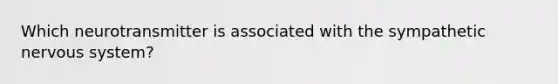 Which neurotransmitter is associated with the sympathetic nervous system?