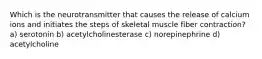 Which is the neurotransmitter that causes the release of calcium ions and initiates the steps of skeletal muscle fiber contraction? a) serotonin b) acetylcholinesterase c) norepinephrine d) acetylcholine