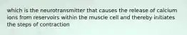 which is the neurotransmitter that causes the release of calcium ions from reservoirs within the muscle cell and thereby initiates the steps of contraction