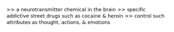 >> a neurotransmitter chemical in the brain >> specific addictive street drugs such as cocaine & heroin >> control such attributes as thought, actions, & emotions