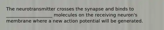 The neurotransmitter crosses the synapse and binds to ____________________ molecules on the receiving neuron's membrane where a new action potential will be generated.