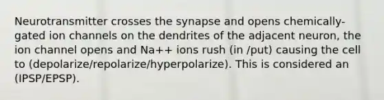 Neurotransmitter crosses the synapse and opens chemically-gated ion channels on the dendrites of the adjacent neuron, the ion channel opens and Na++ ions rush (in /put) causing the cell to (depolarize/repolarize/hyperpolarize). This is considered an (IPSP/EPSP).