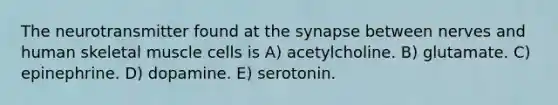 The neurotransmitter found at the synapse between nerves and human skeletal muscle cells is A) acetylcholine. B) glutamate. C) epinephrine. D) dopamine. E) serotonin.