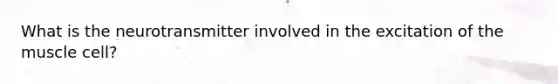 What is the neurotransmitter involved in the excitation of the muscle cell?