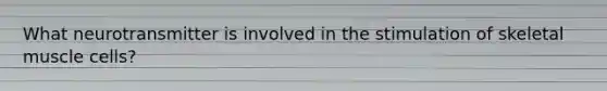 What neurotransmitter is involved in the stimulation of skeletal muscle cells?
