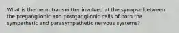 What is the neurotransmitter involved at the synapse between the preganglionic and postganglionic cells of both the sympathetic and parasympathetic nervous systems?