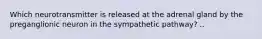 Which neurotransmitter is released at the adrenal gland by the preganglionic neuron in the sympathetic pathway? ..