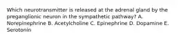 Which neurotransmitter is released at the adrenal gland by the preganglionic neuron in the sympathetic pathway? A. Norepinephrine B. Acetylcholine C. Epinephrine D. Dopamine E. Serotonin