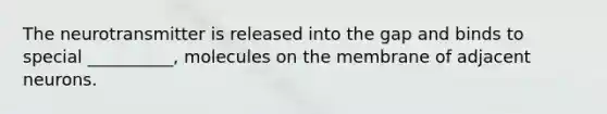 The neurotransmitter is released into the gap and binds to special __________, molecules on the membrane of adjacent neurons.