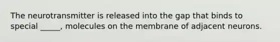 The neurotransmitter is released into the gap that binds to special _____, molecules on the membrane of adjacent neurons.