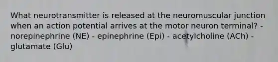 What neurotransmitter is released at the neuromuscular junction when an action potential arrives at the motor neuron terminal? - norepinephrine (NE) - epinephrine (Epi) - acetylcholine (ACh) - glutamate (Glu)