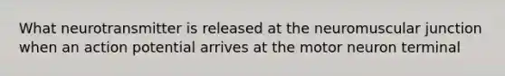 What neurotransmitter is released at the neuromuscular junction when an action potential arrives at the motor neuron terminal