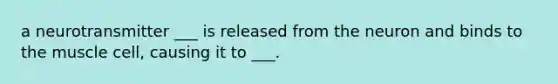a neurotransmitter ___ is released from the neuron and binds to the muscle cell, causing it to ___.