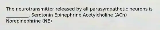 The neurotransmitter released by all parasympathetic neurons is __________. Serotonin Epinephrine Acetylcholine (ACh) Norepinephrine (NE)