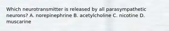 Which neurotransmitter is released by all parasympathetic neurons? A. norepinephrine B. acetylcholine C. nicotine D. muscarine