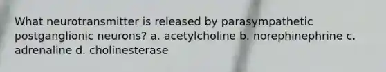 What neurotransmitter is released by parasympathetic postganglionic neurons? a. acetylcholine b. norephinephrine c. adrenaline d. cholinesterase