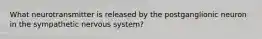 What neurotransmitter is released by the postganglionic neuron in the sympathetic nervous system?