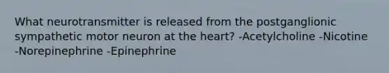 What neurotransmitter is released from the postganglionic sympathetic motor neuron at the heart? -Acetylcholine -Nicotine -Norepinephrine -Epinephrine