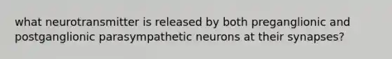 what neurotransmitter is released by both preganglionic and postganglionic parasympathetic neurons at their synapses?