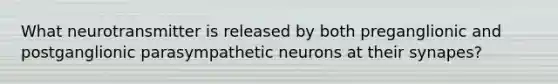 What neurotransmitter is released by both preganglionic and postganglionic parasympathetic neurons at their synapes?