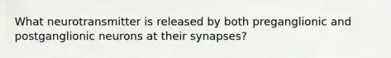 What neurotransmitter is released by both preganglionic and postganglionic neurons at their synapses?