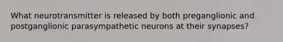 What neurotransmitter is released by both preganglionic and postganglionic parasympathetic neurons at their synapses?