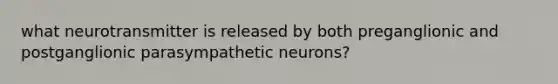 what neurotransmitter is released by both preganglionic and postganglionic parasympathetic neurons?