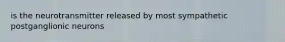 is the neurotransmitter released by most sympathetic postganglionic neurons