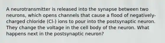 A neurotransmitter is released into the synapse between two neurons, which opens channels that cause a flood of negatively-charged chloride (Cl-) ions to pour into the postsynaptic neuron. They change the voltage in the cell body of the neuron. What happens next in the postsynaptic neuron?