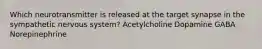 Which neurotransmitter is released at the target synapse in the sympathetic nervous system? Acetylcholine Dopamine GABA Norepinephrine