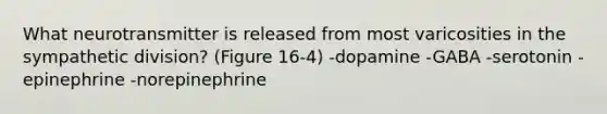 What neurotransmitter is released from most varicosities in the sympathetic division? (Figure 16-4) -dopamine -GABA -serotonin -epinephrine -norepinephrine