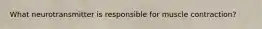 What neurotransmitter is responsible for muscle contraction?