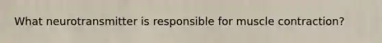 What neurotransmitter is responsible for muscle contraction?