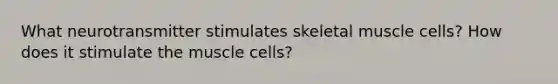 What neurotransmitter stimulates skeletal muscle cells? How does it stimulate the muscle cells?