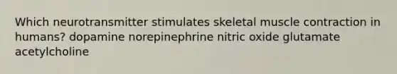 Which neurotransmitter stimulates skeletal muscle contraction in humans? dopamine norepinephrine nitric oxide glutamate acetylcholine