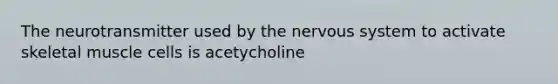 The neurotransmitter used by the nervous system to activate skeletal muscle cells is acetycholine