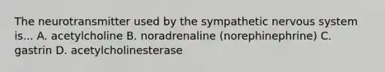 The neurotransmitter used by the sympathetic <a href='https://www.questionai.com/knowledge/kThdVqrsqy-nervous-system' class='anchor-knowledge'>nervous system</a> is... A. acetylcholine B. noradrenaline (norephinephrine) C. gastrin D. acetylcholinesterase