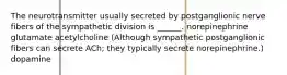 The neurotransmitter usually secreted by postganglionic nerve fibers of the sympathetic division is ______. norepinephrine glutamate acetylcholine (Although sympathetic postganglionic fibers can secrete ACh; they typically secrete norepinephrine.) dopamine