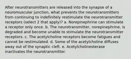 After neurotransmitters are released into the synapse of a neuromuscular junction, what prevents the neurotransmitters from continuing to indefinitely restimulate the neurotransmitter receptors (select 2 that apply)? a. Norepinephrine can stimulate a receptor only once. b. The neurotransmitter, norepinephrine, is degraded and become unable to stimulate the neurotransmitter receptors. c. The acetylcholine receptors become fatigues and cannot be restimulated. d. Some of the acetylcholine diffuses away out of the synaptic cleft. e. Acetylcholinesterase inactivates the neurotransmitter.